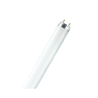 TUBE FLUO T8 NATURA