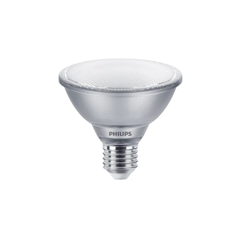 MASTER LEDSPOT PAR