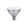MASTER LEDSPOT PAR