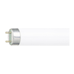 TUBE FLUO T8 MASTER TL-D