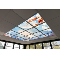 PACK 6 x DALLE LED REVA...