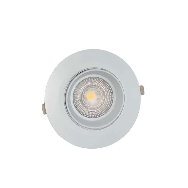 DOWNLIGHT LED ORIENT. NEBOU...