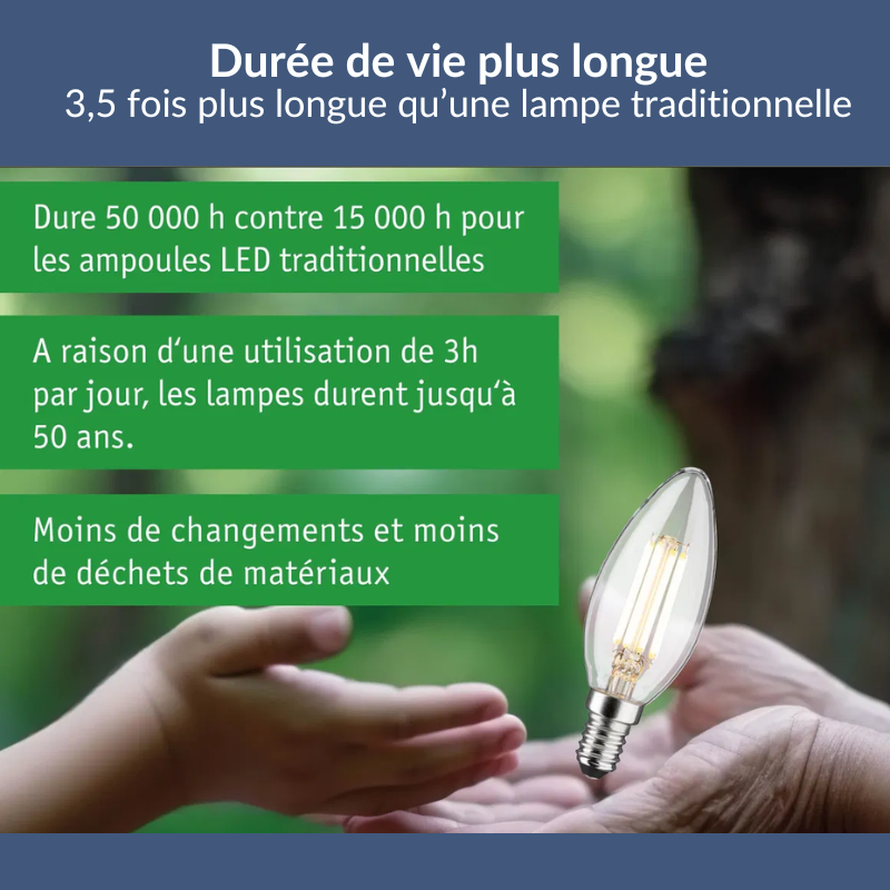 FLAMME FILAMENT ECOLINE...