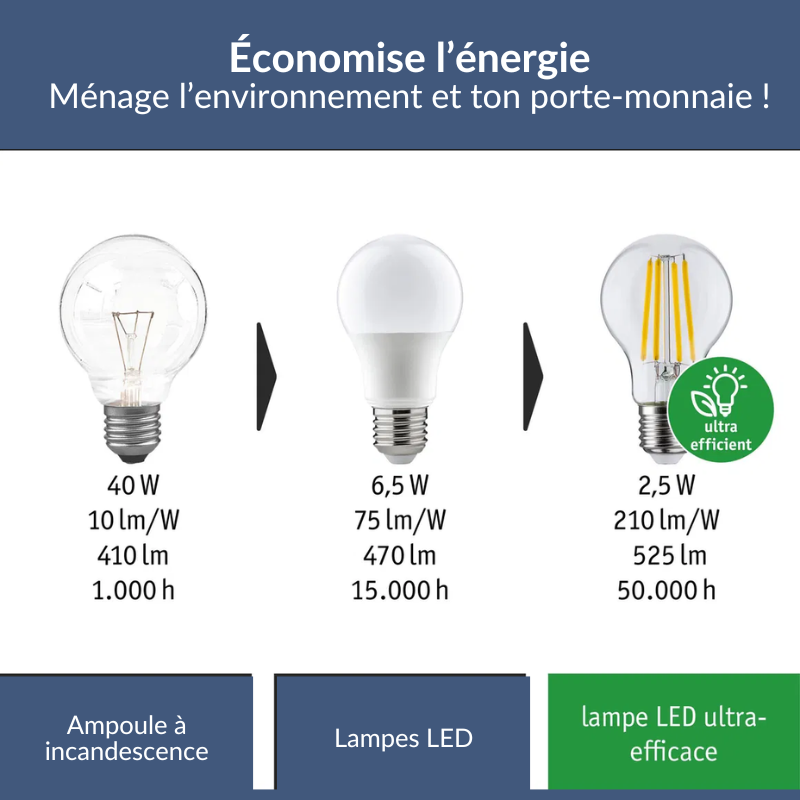 SPHERIQUE FILAMENT ECOLINE...