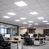 DALLE LED LUMIA ELUMINO