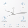 VENTILATEUR DE PLAFOND...