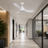 VENTILATEUR DE PLAFOND BISE...