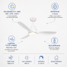 VENTILATEUR DE PLAFOND BISE...