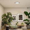 PLAFONNIER ATRIA SHINE CCT...