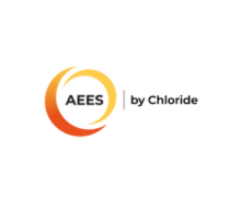 LOGO AEES