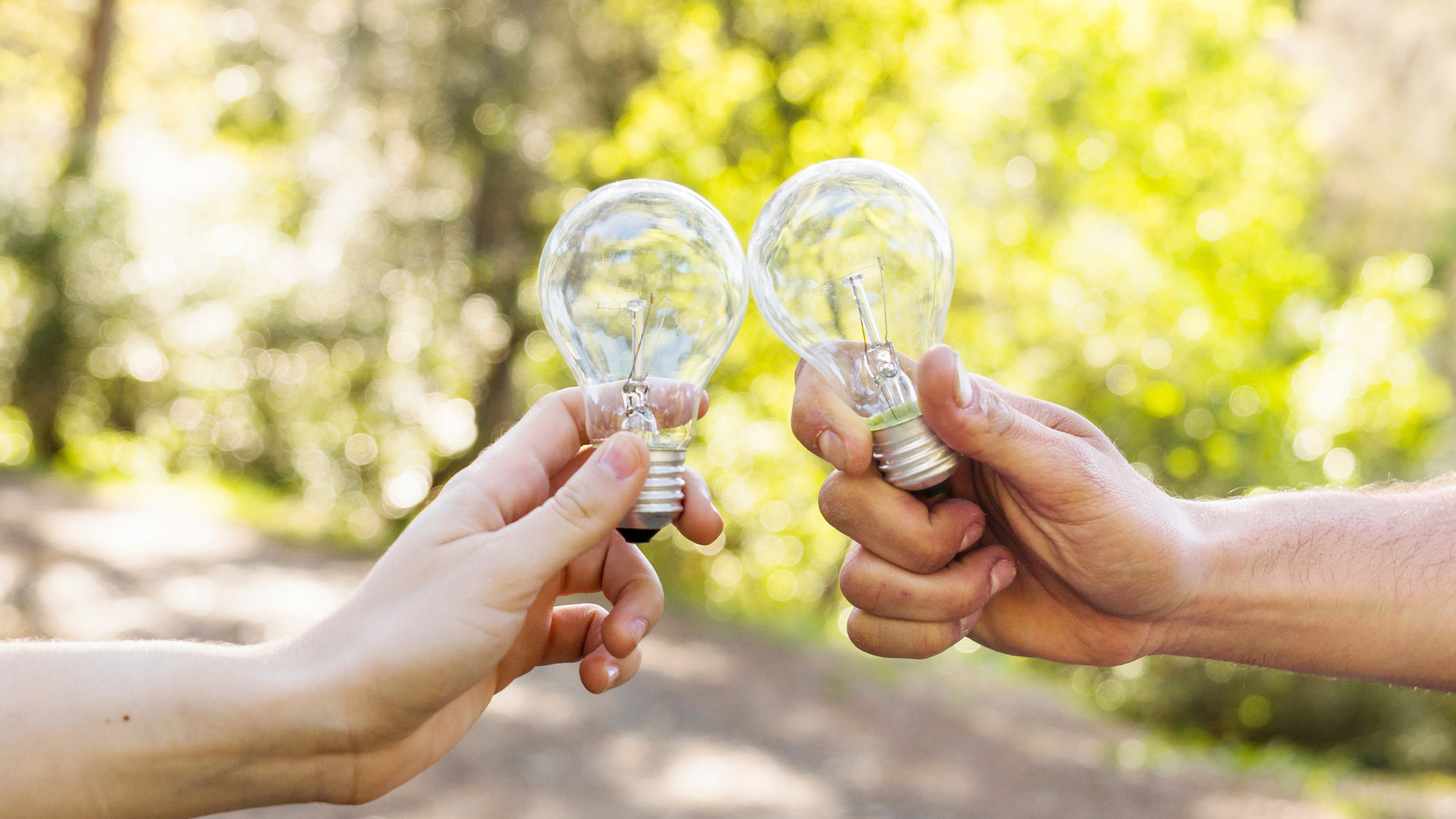 ampoule dans un environnement ecoresponsable